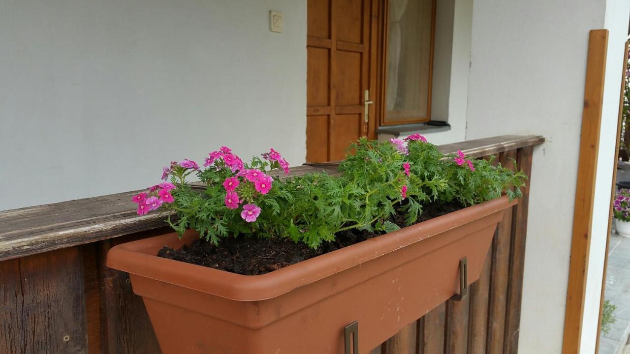Elo Tisza Vendeghaz Otel Nagykoru Dış mekan fotoğraf