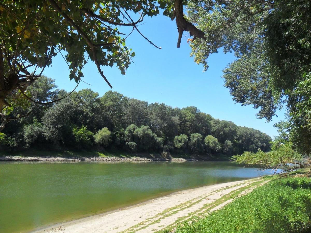 Elo Tisza Vendeghaz Otel Nagykoru Dış mekan fotoğraf