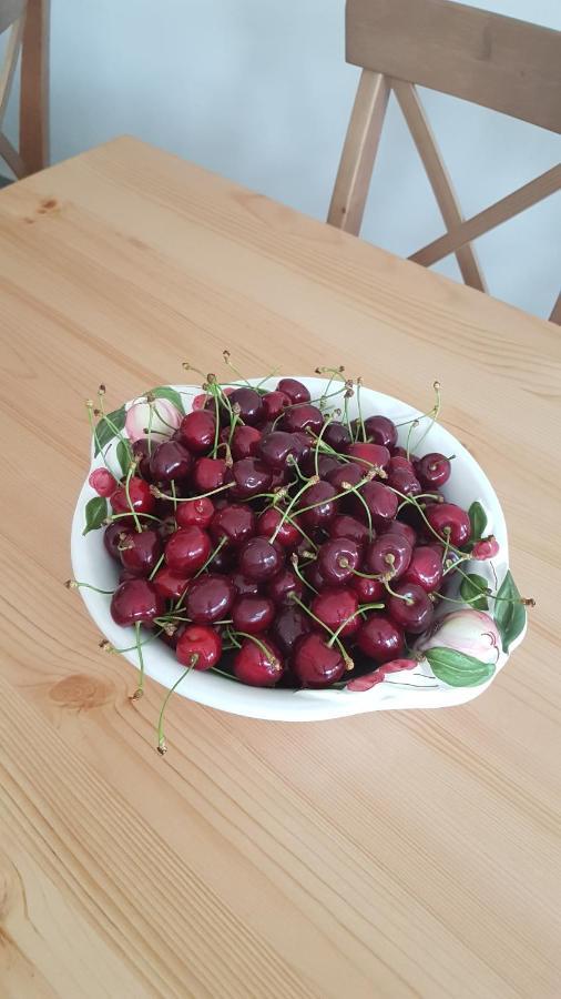 Elo Tisza Vendeghaz Otel Nagykoru Dış mekan fotoğraf