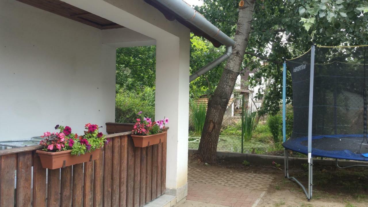 Elo Tisza Vendeghaz Otel Nagykoru Dış mekan fotoğraf