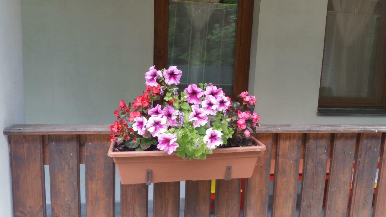 Elo Tisza Vendeghaz Otel Nagykoru Dış mekan fotoğraf