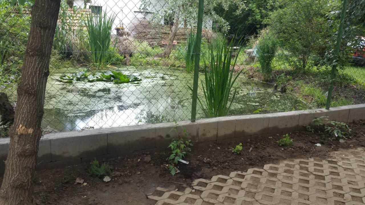 Elo Tisza Vendeghaz Otel Nagykoru Dış mekan fotoğraf