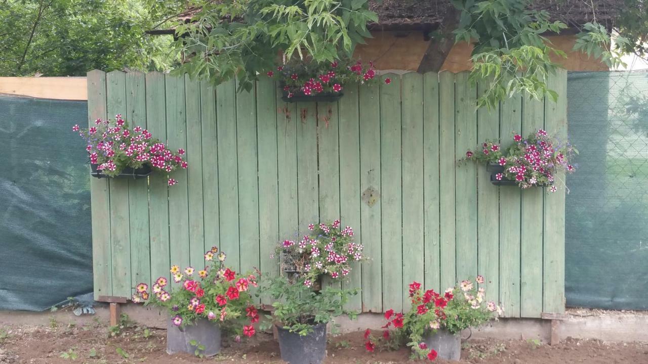 Elo Tisza Vendeghaz Otel Nagykoru Dış mekan fotoğraf